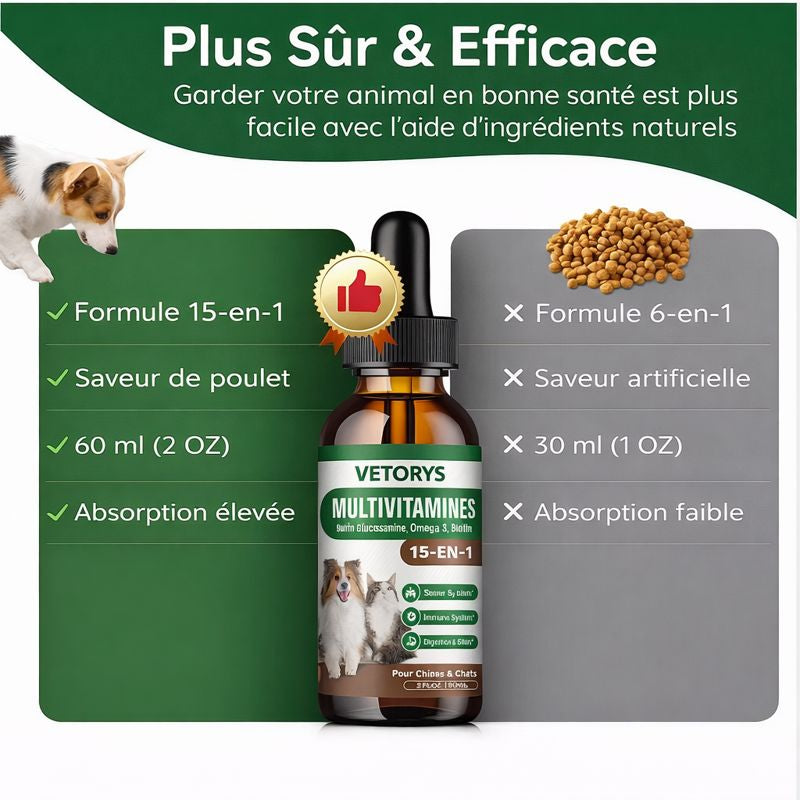 Immunité Naturelle | Défenses renforcées, vitalité retrouvée