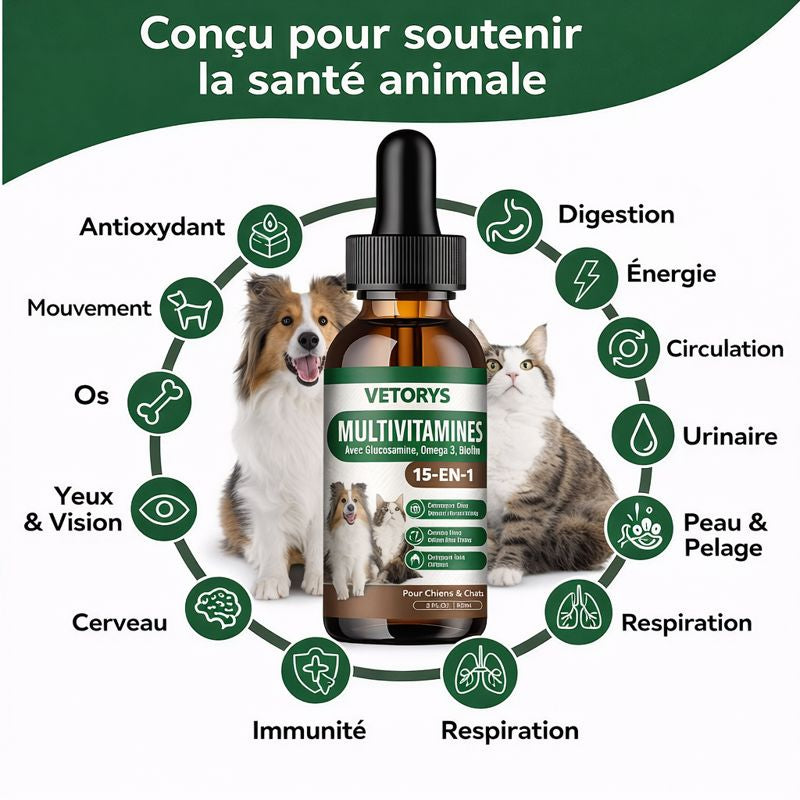 Immunité Naturelle | Défenses renforcées, vitalité retrouvée