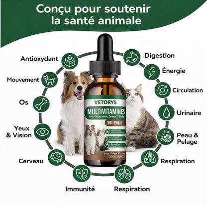 Immunité Naturelle | Défenses renforcées, vitalité retrouvée