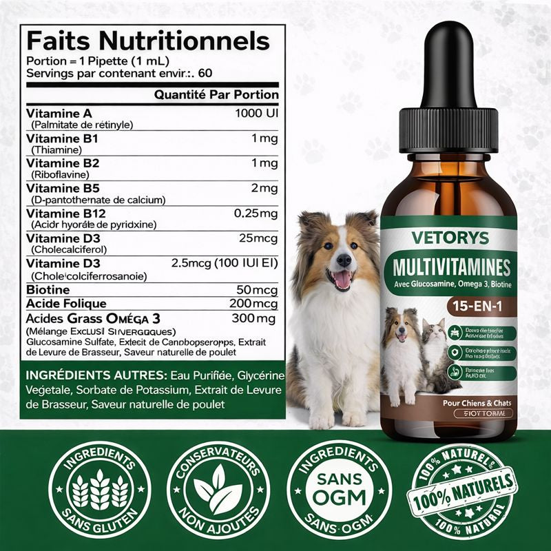 Immunité Naturelle | Défenses renforcées, vitalité retrouvée