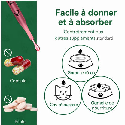 Immunité Naturelle | Défenses renforcées, vitalité retrouvée