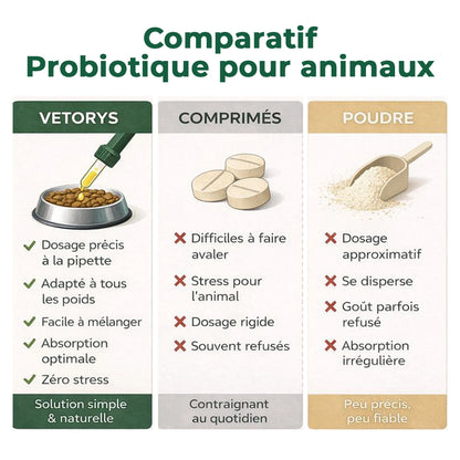 Probiotique Naturel | Digestion apaisée, confort retrouvé.