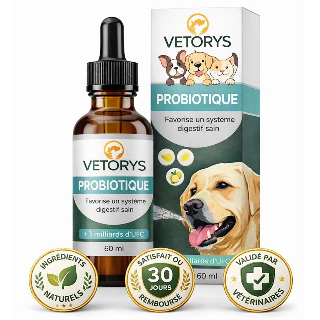 Probiotique Naturel | Digestion apaisée, confort retrouvé.