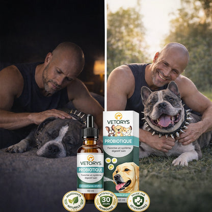 Probiotique Naturel | Digestion apaisée, confort retrouvé.