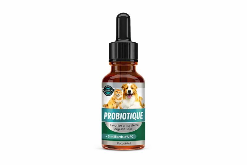 Vetorys® – Probiotique Naturel | Soulage la Digestion de votre Animal