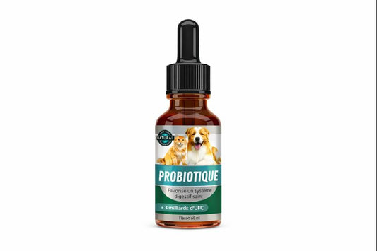 Vetorys® – Probiotique Naturel | Soulage la Digestion de votre Animal