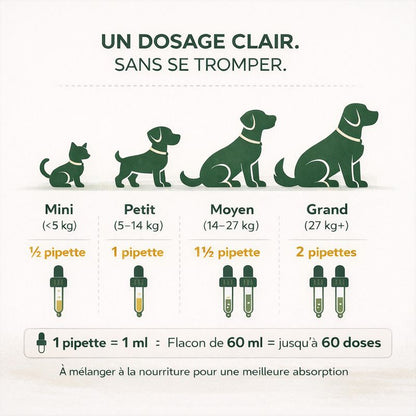 Probiotique Naturel | Digestion apaisée, confort retrouvé.