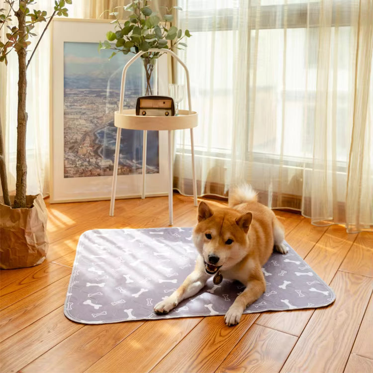 Tapis Propreté aux Phéromones - Ultra Absorbant, Sans Odeur et Lavable.