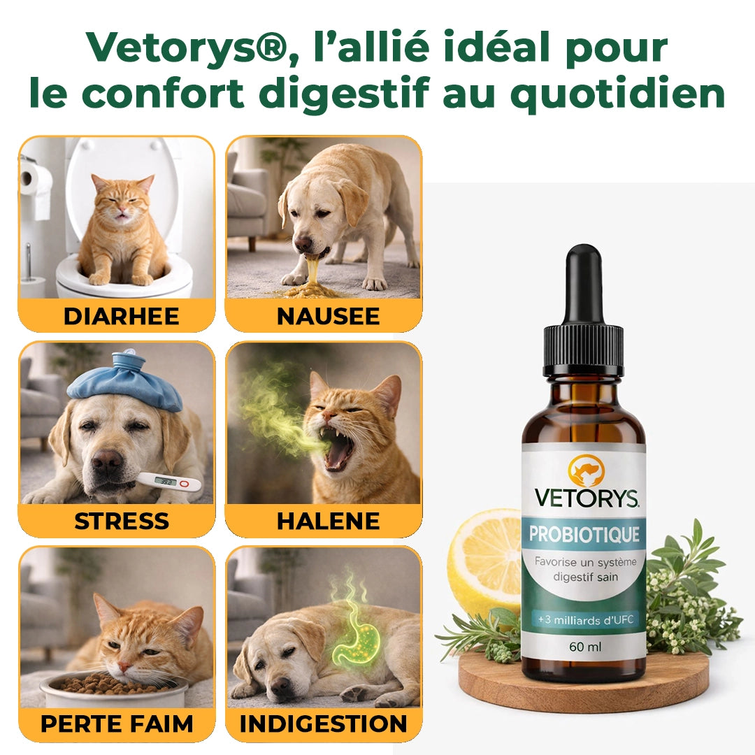 Probiotique Naturel | Digestion apaisée, confort retrouvé.